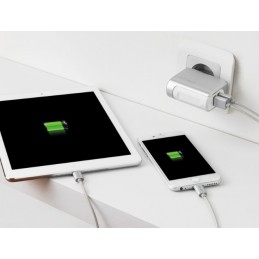 Chargeur Adaptateur secteur Pour Smartphone & tablette 2 sorties USB - Chargeurs et alimentation