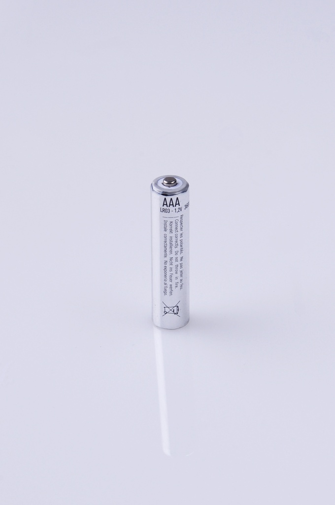Pile AAA LR03 Rechargeable Inducell