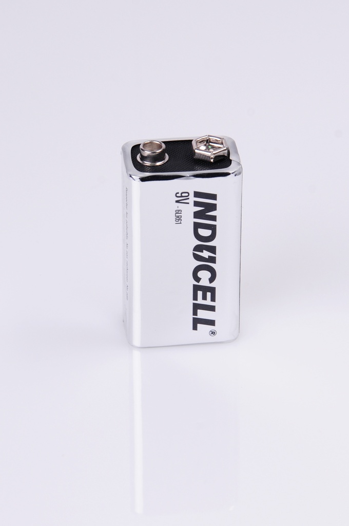 Pile 9V Type 6LR61 - Alcaline INDUCELL