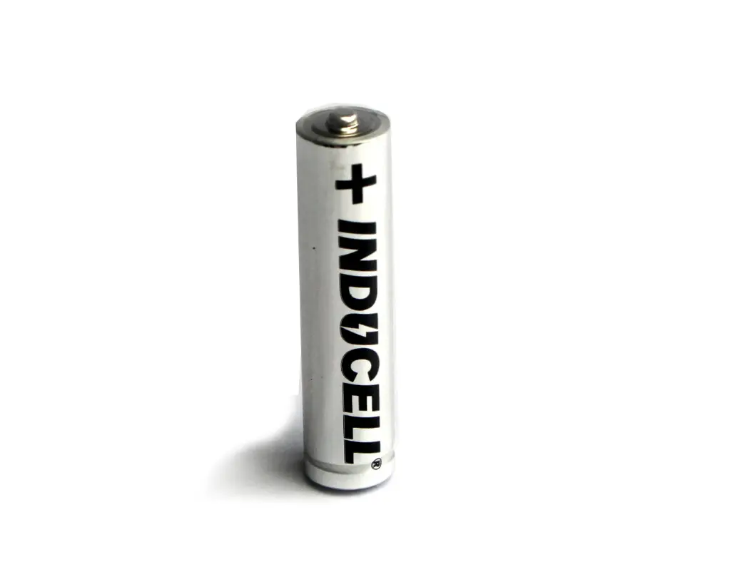 Pile LR3 AAA Alcaline INDUCELL Lot de 2
